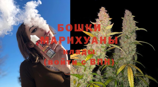 МДПВ Волоколамск